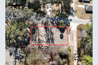 Tbd SE 65th Avenue, Summerfield, FL 34491 - Photo 4