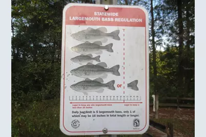 18592 SE 21st Street, Silver Springs, FL 34488 - Photo 50