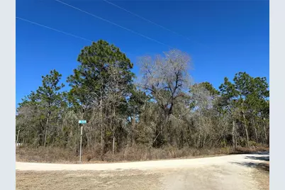00 SW 78th Place, Dunnellon, FL 34432 - Photo 1