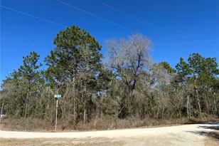 00 SW 78th Pl, Dunnellon, FL 34432 - Photo 1