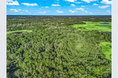 0 SE 165th Avenue, Williston, FL 32696 - Photo 8