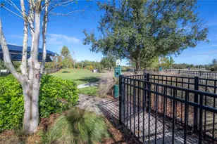 18162 Frame Bend, Land O Lakes, FL 34638 - Photo 86