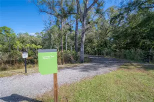 18162 Frame Bend, Land O Lakes, FL 34638 - Photo 62