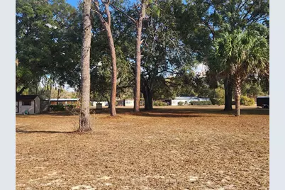 0000 NE 148th Court, Fort Mc Coy, FL 32134 - Photo 1