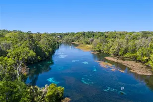 19395 SW 100th Loop, Dunnellon, FL 34432 - Photo 50