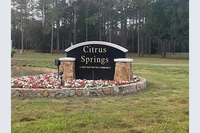 1671 W Saint Elizabeth Place, Citrus Springs, FL 34434 - Photo 4