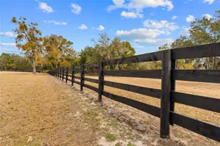 12350 NW Hwy 225 NW Hwy 225, Reddick, FL 32686 - Photo 78