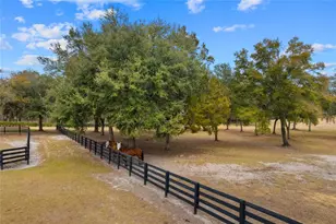 12350 NW Hwy 225 NW Hwy 225, Reddick, FL 32686 - Photo 82