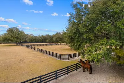 12350 NW Hwy 225 NW Hwy 225, Reddick, FL 32686 - Photo 72