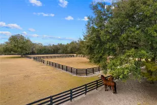 12350 NW Hwy 225 NW Hwy 225, Reddick, FL 32686 - Photo 72