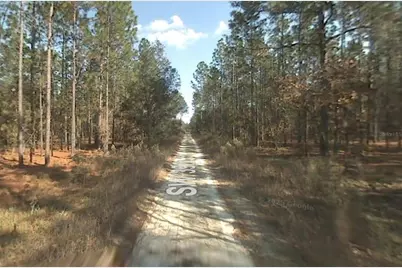 00 SW 39th Street, Dunnellon, FL 34432 - Photo 2