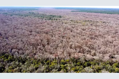 Tbd NE 170th Avenue Road, Fort Mc Coy, FL 32134 - Photo 2