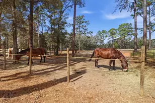 8863 S Evans Ave, Inverness, FL 34452 - Photo 52