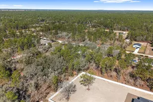 8135 SW 125th Terrace, Dunnellon, FL 34432 - Photo 80