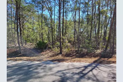 Tbd SE Fisher Run Terrace #LOT 15, Ocala, FL 34472 - Photo 4