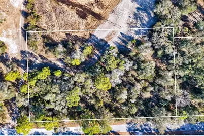 10051 N Marigold Terrace, Crystal River, FL 34428 - Photo 8