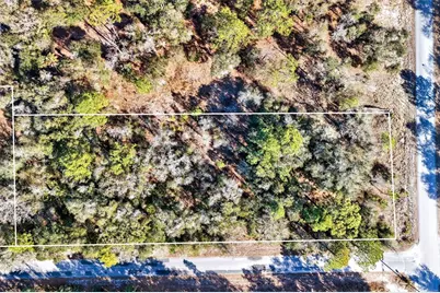 10051 N Marigold Terrace, Crystal River, FL 34428 - Photo 4