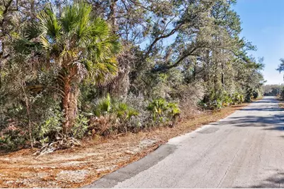 10051 N Marigold Terrace, Crystal River, FL 34428 - Photo 6