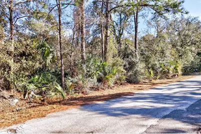 10051 N Marigold Terrace, Crystal River, FL 34428 - Photo 16