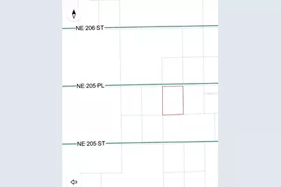 00 NE 205th Place #Lot 5, Fort Mc Coy, FL 32134 - Photo 4