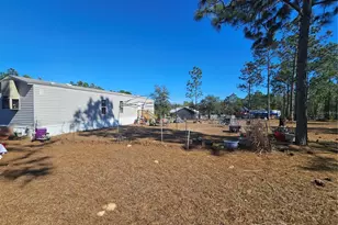 13350 NE 5 St, Williston, FL 32696 - Photo 4