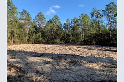 6125 N Canyon Drive, Beverly Hills, FL 34465 - Photo 2