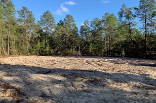 6125 N Canyon Dr, Beverly Hills, FL 34465 - Photo 2