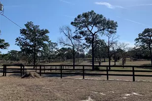 6125 N Canyon Dr, Beverly Hills, FL 34465 - Photo 8