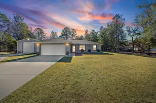 9085 SW 202nd Avenue Rd, Dunnellon, FL 34431 - Photo 1
