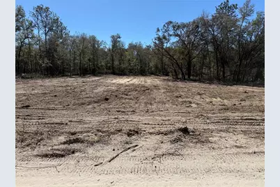 0000 NE 82nd Place, Bronson, FL 32621 - Photo 1