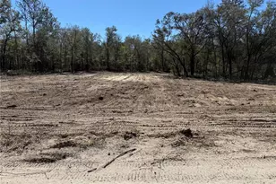 0000 NE 82nd Pl, Bronson, FL 32621 - Photo 1