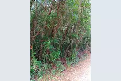 6864 W Ottas Court, Crystal River, FL 34429 - Photo 16