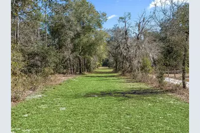 11670 SE 6 Street, Williston, FL 32696 - Photo 56