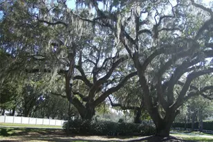 2108 Greenlaw Ct, Leesburg, FL 34788 - Photo 44