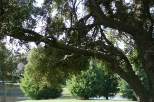 2108 Greenlaw Ct, Leesburg, FL 34788 - Photo 52