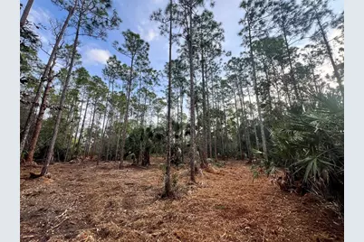 Pantera Ln, Naples, FL 34120 - Photo 2