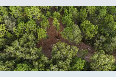 Pantera Ln, Naples, FL 34120 - Photo 10