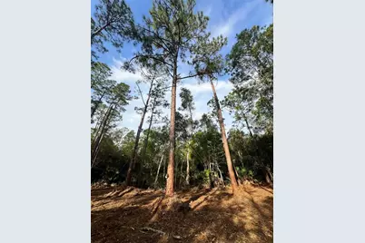 Pantera Ln, Naples, FL 34120 - Photo 48