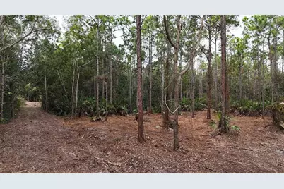 Pantera Ln, Naples, FL 34120 - Photo 8