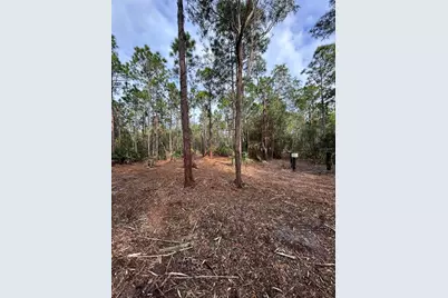 Pantera Ln, Naples, FL 34120 - Photo 38