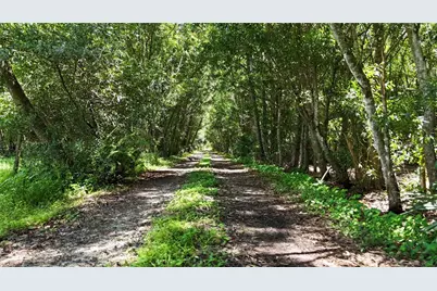 Pantera Ln, Naples, FL 34120 - Photo 4