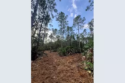 Pantera Ln, Naples, FL 34120 - Photo 32