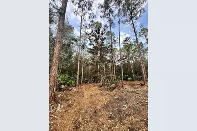 Pantera Ln, Naples, FL 34120 - Photo 44