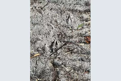 Pantera Ln, Naples, FL 34120 - Photo 40