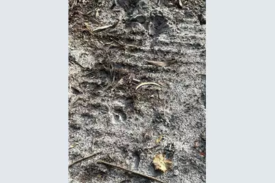 Pantera Ln, Naples, FL 34120 - Photo 18