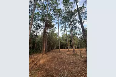 Pantera Ln, Naples, FL 34120 - Photo 22