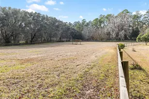 22157 NW 87th Avenue Rd, Micanopy, FL 32667 - Photo 26