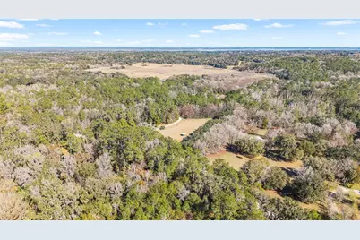 22157 NW 87th Avenue Road, Micanopy, FL 32667 - Photo 32