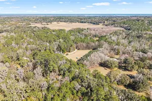 22157 NW 87th Avenue Rd, Micanopy, FL 32667 - Photo 32