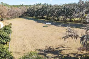 22157 NW 87th Avenue Rd, Micanopy, FL 32667 - Photo 28